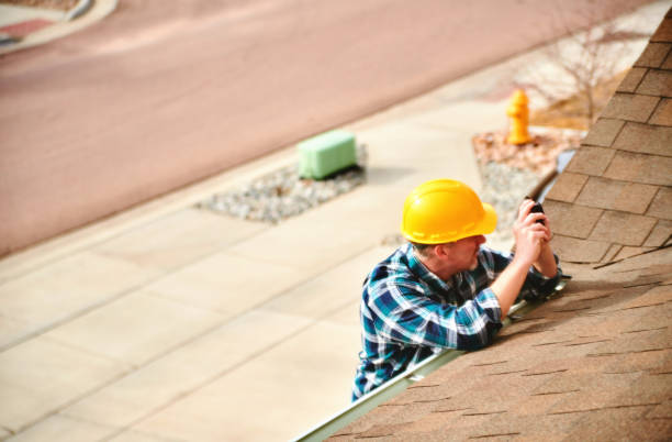 Best Roof Gutter Cleaning  in Grayson, GA